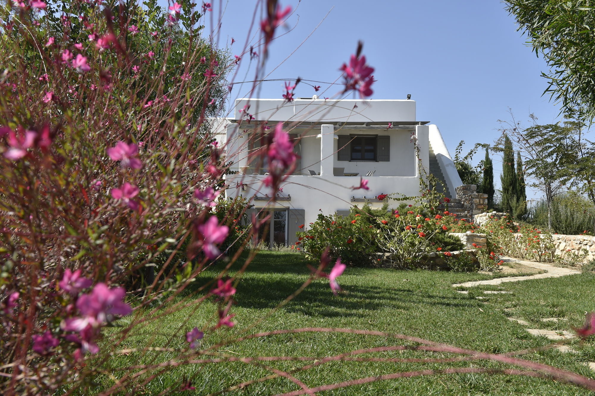 Naoussa Hills Boutique Resort- Adults Only Páros Exteriér fotografie